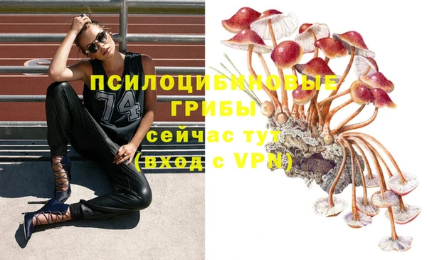 альфа пвп Кодинск