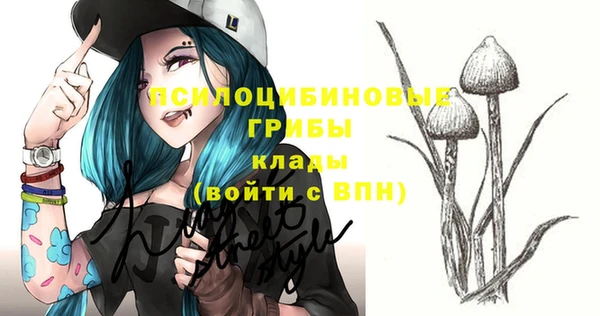 спайс Козельск