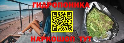 твердый Гусев