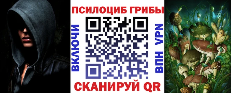 кракен ТОР  Краснознаменск  Галлюциногенные грибы Psilocybe 