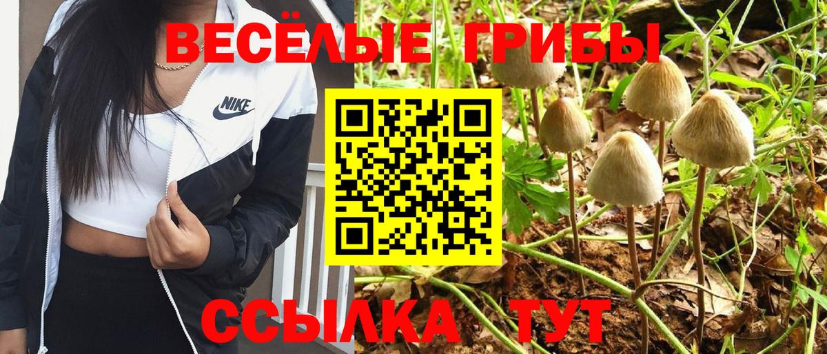 Псилоцибиновые грибы Cubensis Краснознаменск
