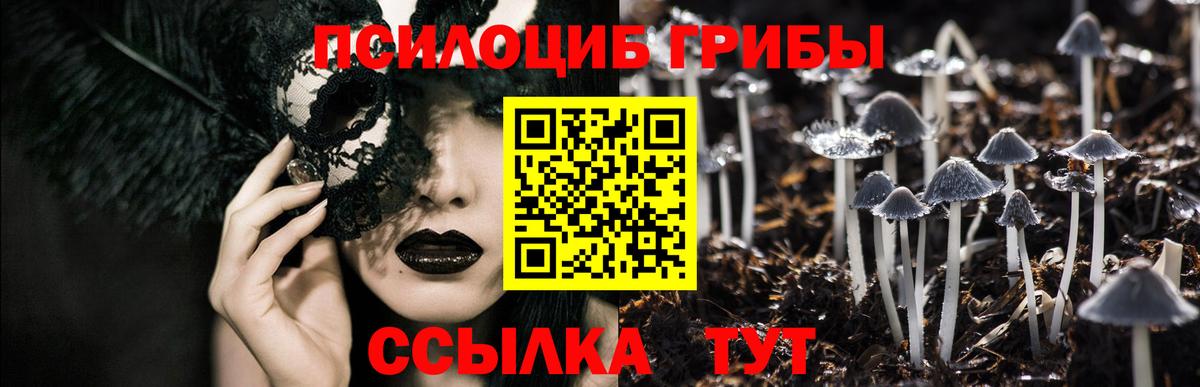 Галлюциногенные грибы Magic Shrooms Краснознаменск