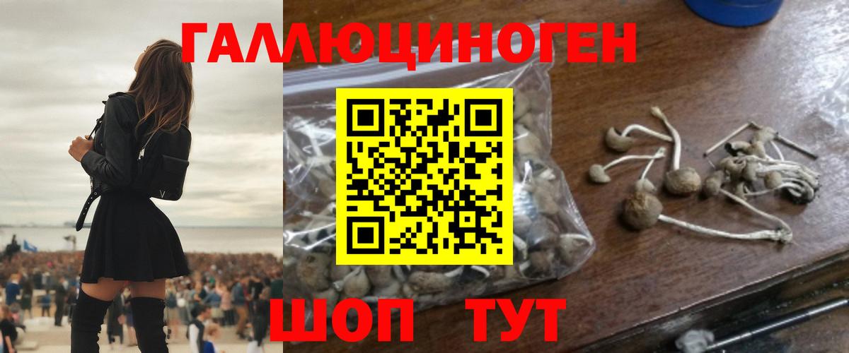 Псилоцибиновые грибы Psilocybine cubensis  Псилоцибиновые грибы MAGIC MUSHROOMS  купить закладку  Вход с VPN  Краснознаменск 