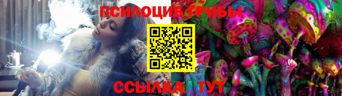 Псилоцибиновые грибы Psilocybe  Краснознаменск  Галлюциногенные грибы мицелий 